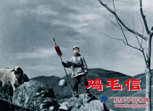 应届生学历证书